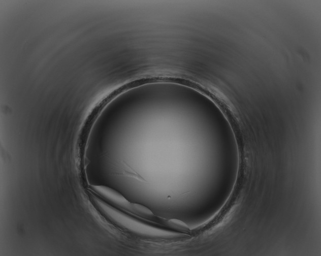 X0000091000981200708021557