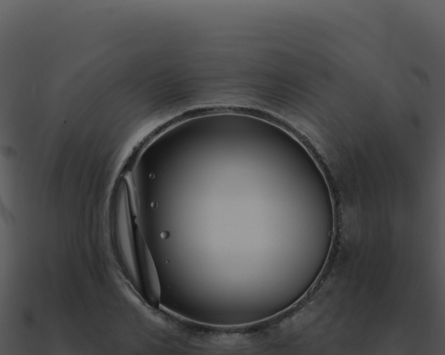 X0000091000982200708021556