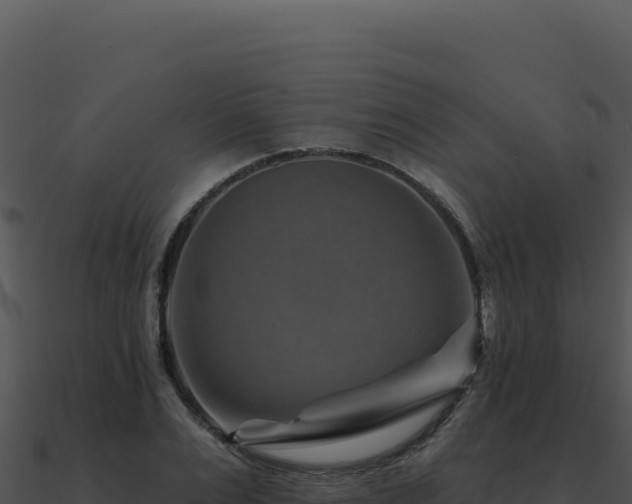 X0000091000983200708021556