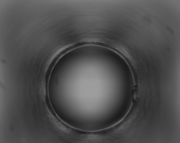 X0000091000984200708021556