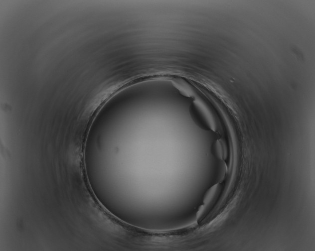 X0000091000985200708021556