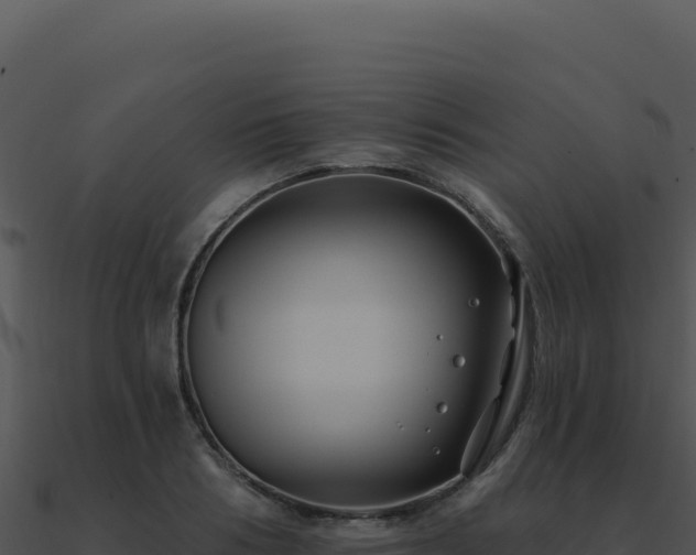 X0000091000986200708021556