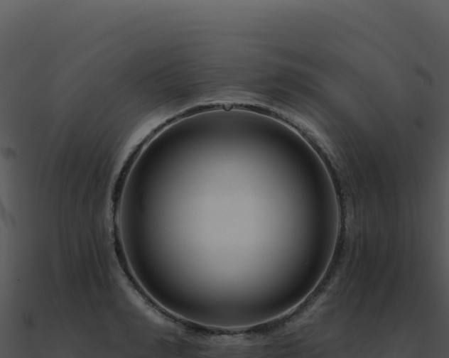 X0000091000990200708021556