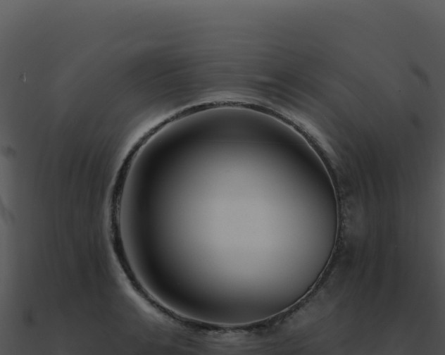 X0000091000991200708021556