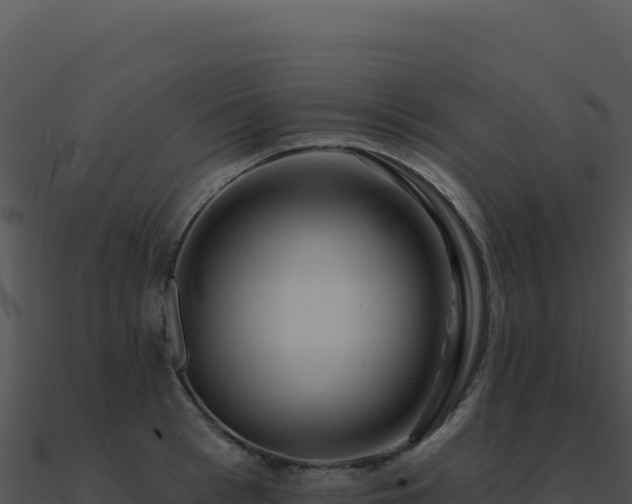 X0000091000993200708021556