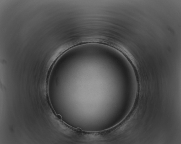 X0000091000994200708021556
