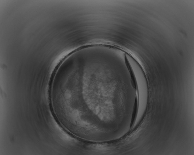 X0000091000995200708021556