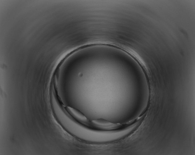 X0000091000996200708021556