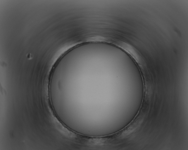 X0000091001000200708021556