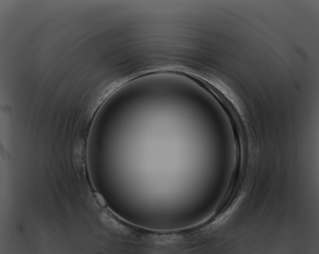 X0000091001001200708021556