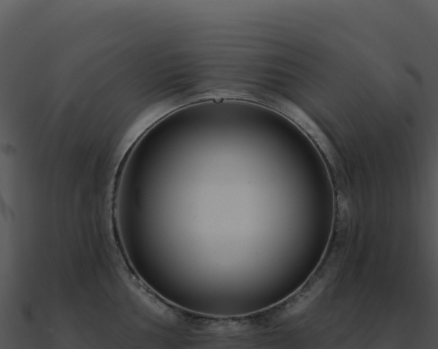 X0000091001002200708021556