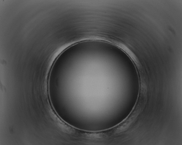 X0000091001004200708021556
