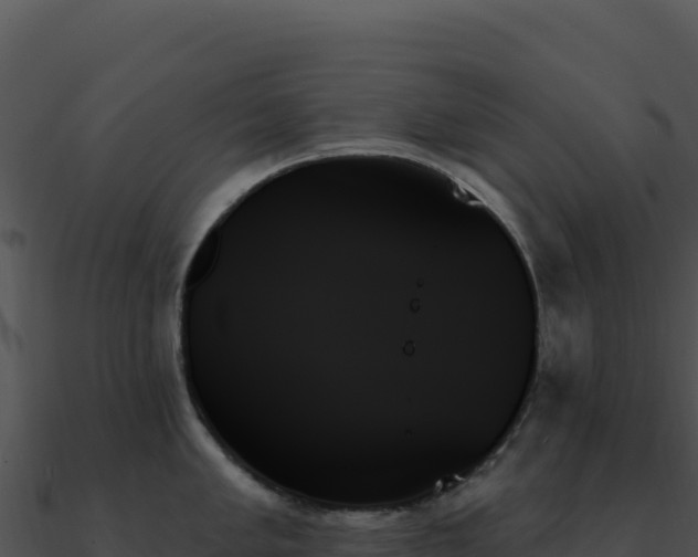 X0000091001005200708021556