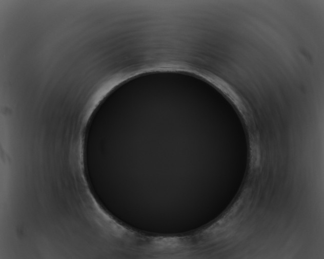 X0000091001006200708021556