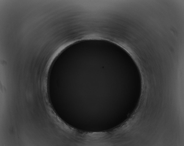 X0000091001008200708021556