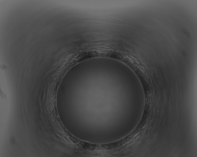 X0000091001009200708021556