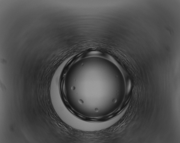 X0000091001010200708021556