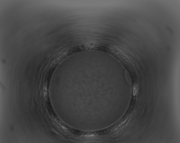 X0000091001011200708021556