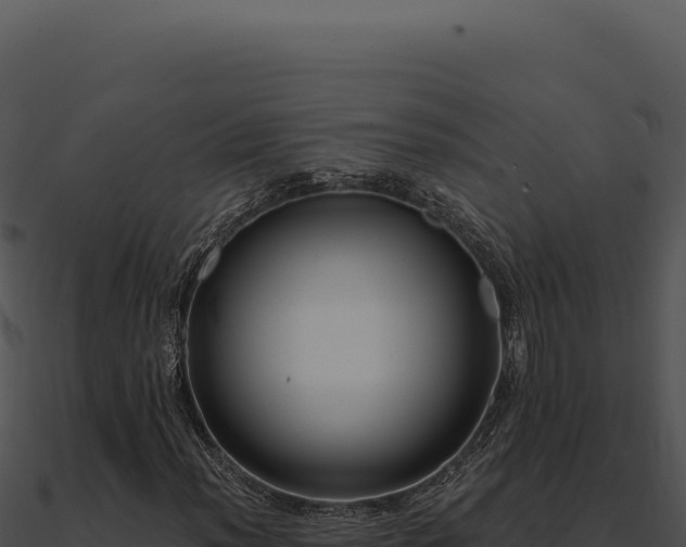 X0000091001012200708021556