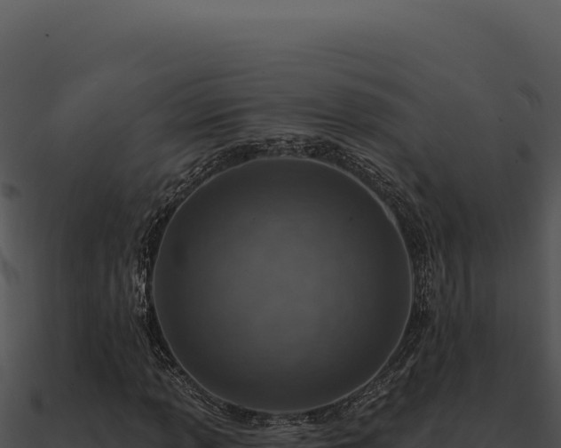 X0000091001013200708021556