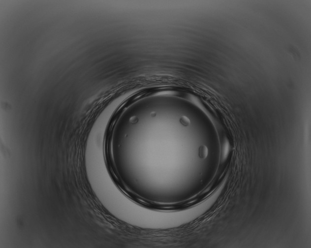 X0000091001014200708021556
