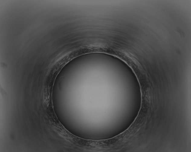 X0000091001015200708021556