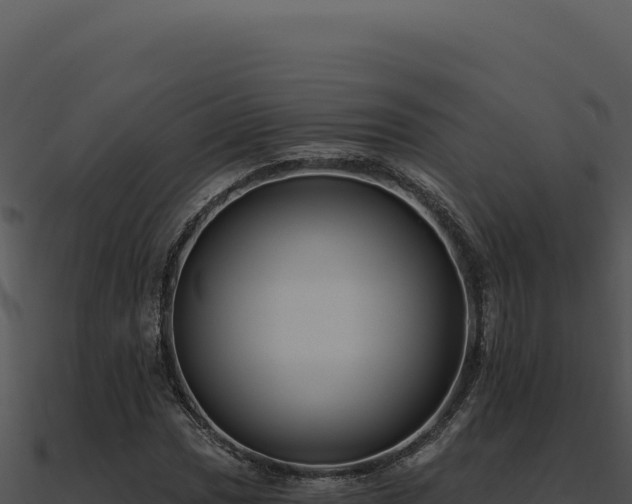 X0000091001017200708021556