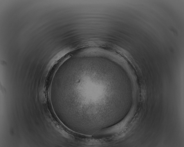 X0000091001018200708021556