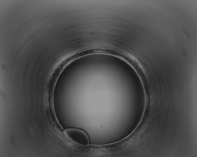 X0000091001019200708021556