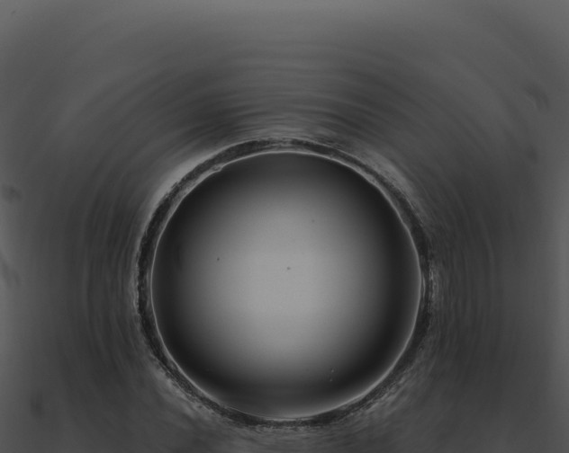 X0000091001020200708021556