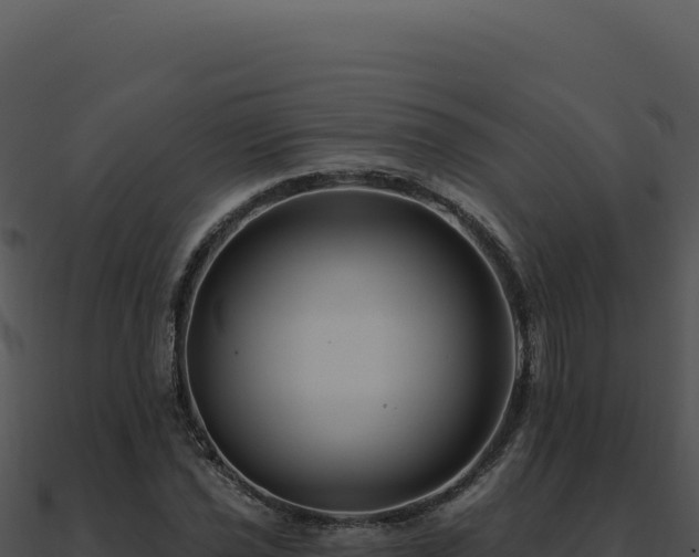 X0000091001021200708021556