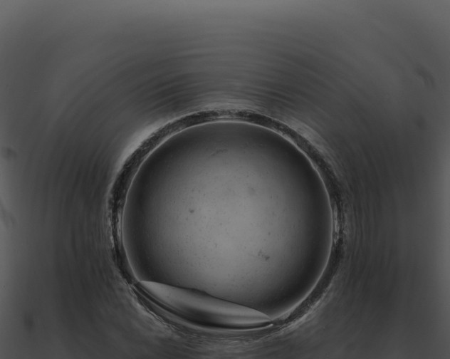 X0000091001022200708021556