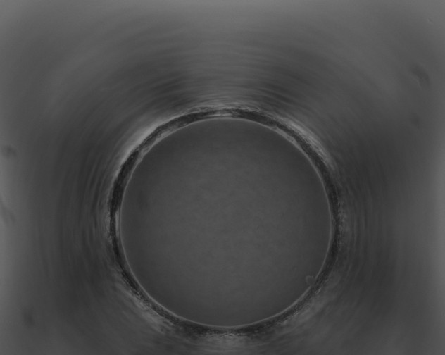 X0000091001023200708021556