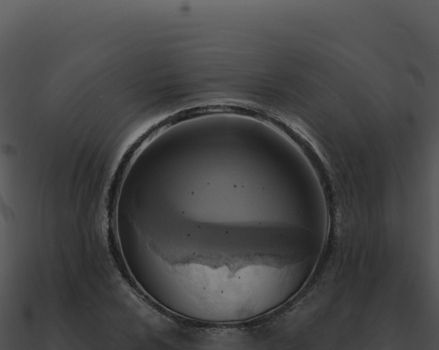 X0000091001024200708021556