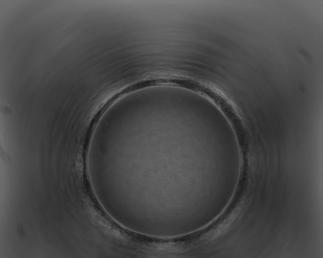 X0000091001025200708021556