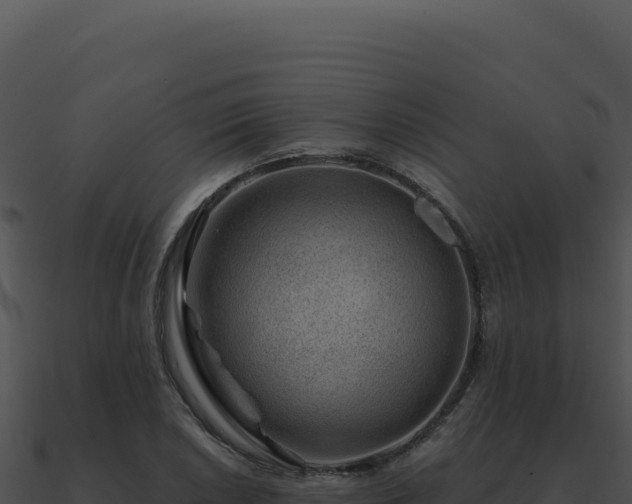 X0000091001026200708021556