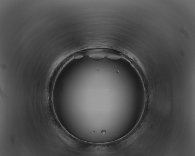 X0000091001027200708021556