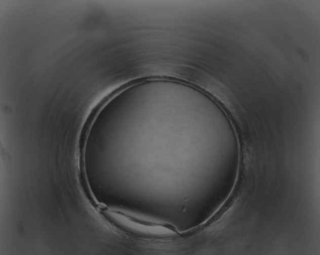 X0000091001028200708021556