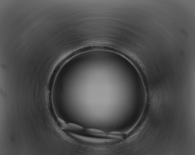 X0000091001029200708021556
