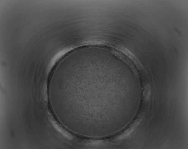 X0000091001030200708021556