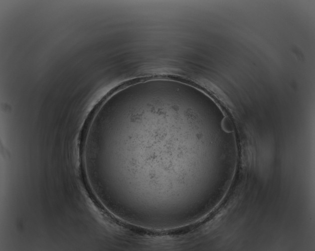 X0000091001031200708021556