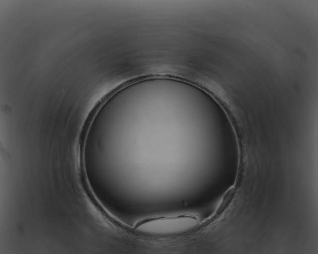 X0000091001032200708021556