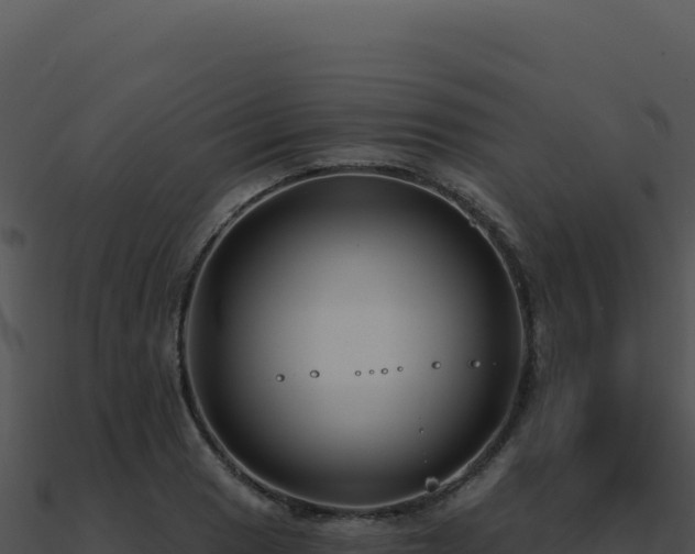 X0000091001033200708021556