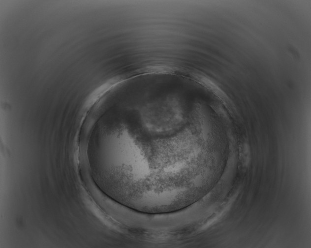 X0000091001034200708021556
