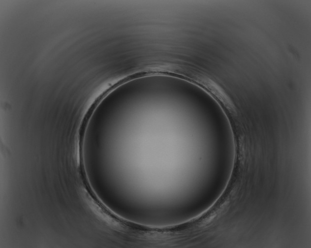 X0000091001036200708021556