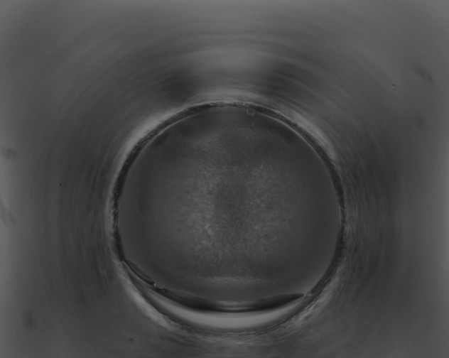 X0000091001037200708021556