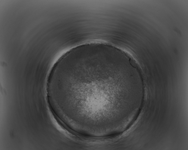 X0000091001038200708021556
