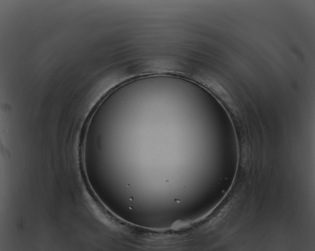 X0000091001039200708021556