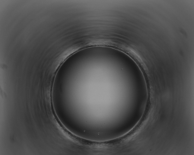 X0000091001041200708021556