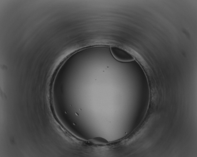 X0000091001043200708021556